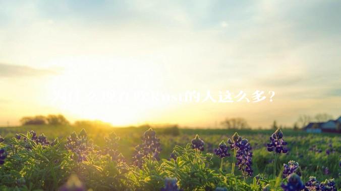 为什么现在吹Rust的人这么多？