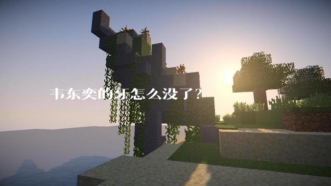 韦东奕的牙怎么没了？