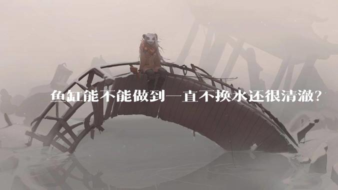 鱼缸能不能做到一直不换水还很清澈？