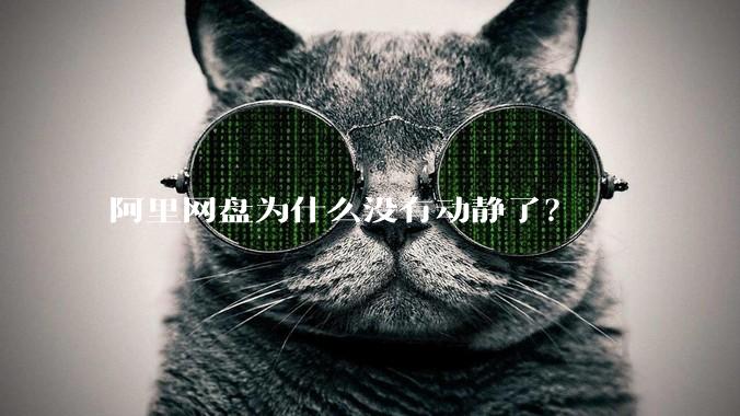 阿里网盘为什么没有动静了？