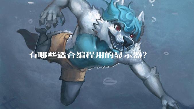 有哪些适合编程用的显示器？